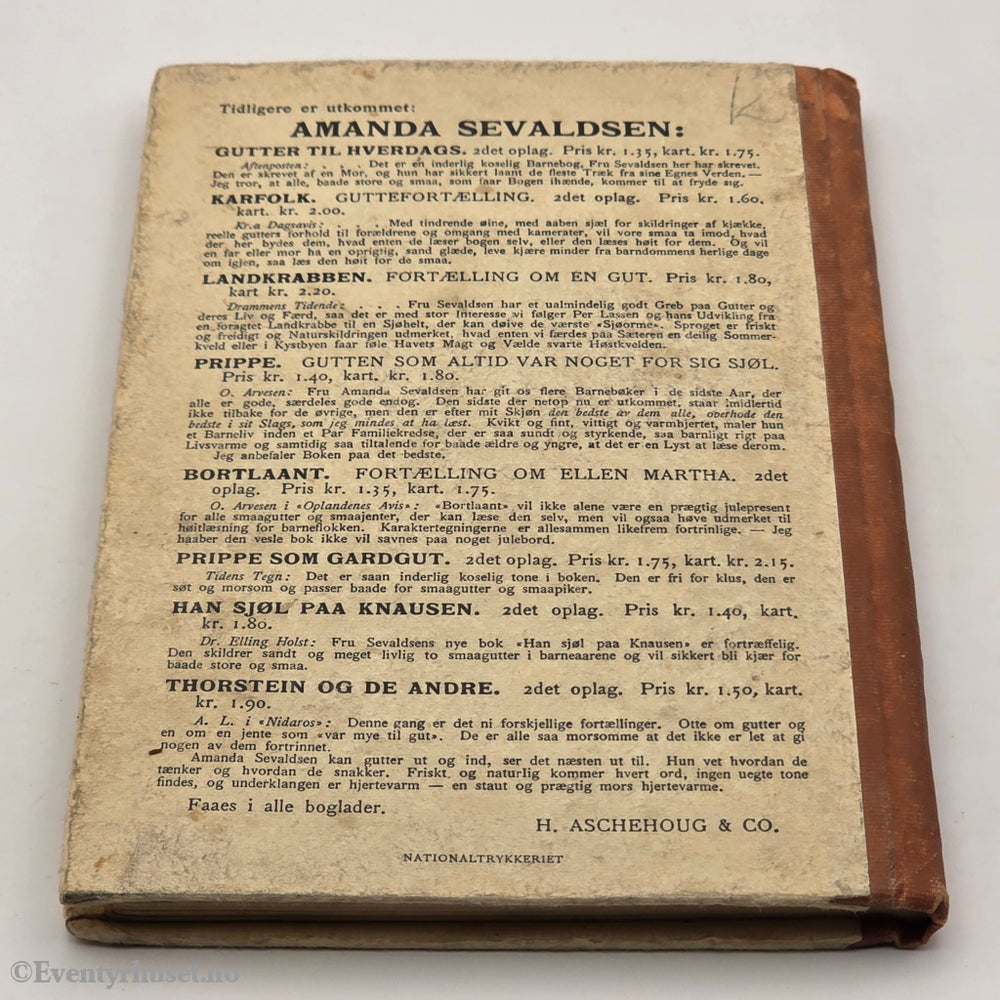 Amanda Sevaldsen, 1915. Brødrene. Bok.