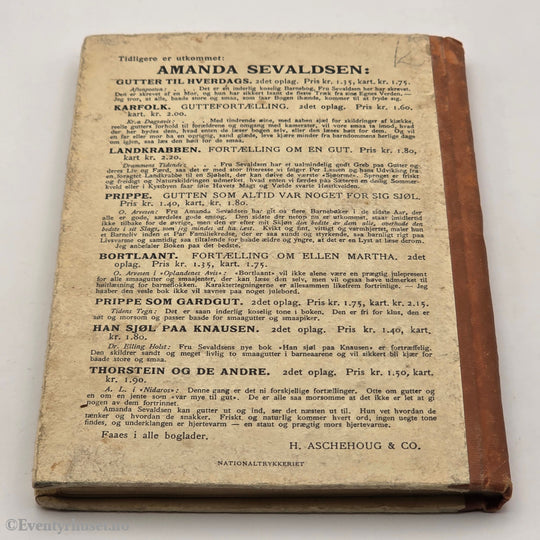 Amanda Sevaldsen, 1915. Brødrene. Bok.