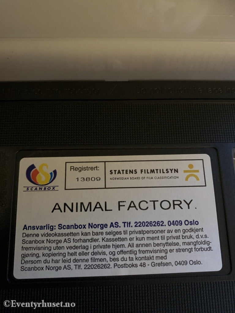 Animal Factory. 2000. Vhs. Vhs