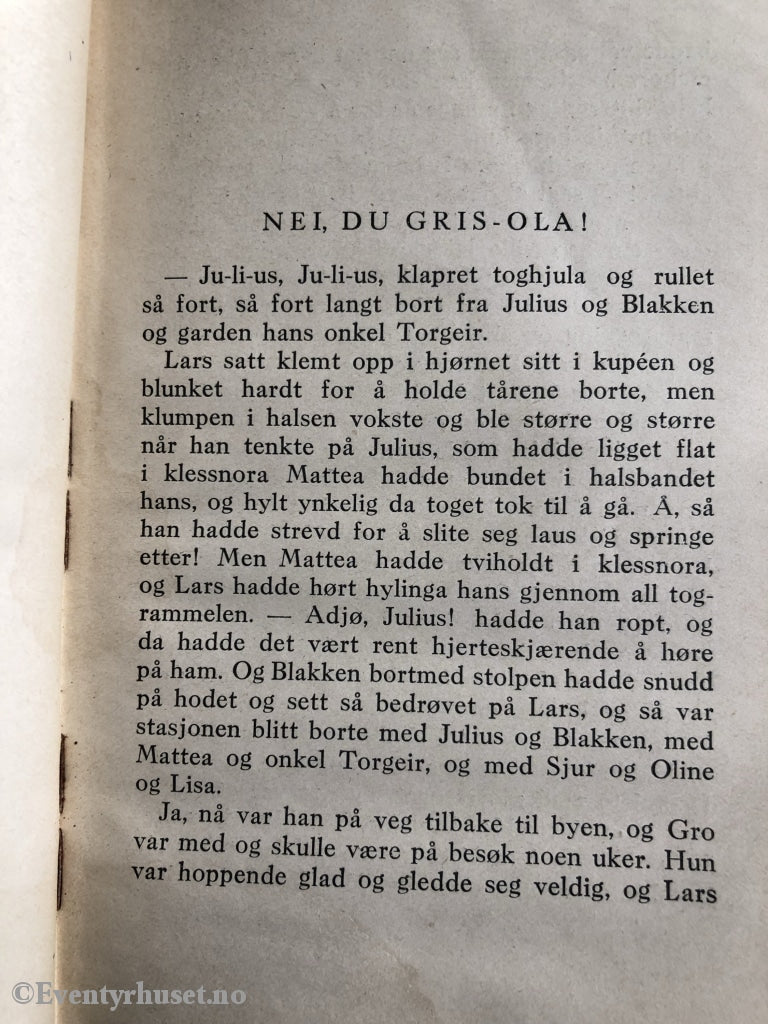 Anka Borch. Huldra I Byen. Fortelling
