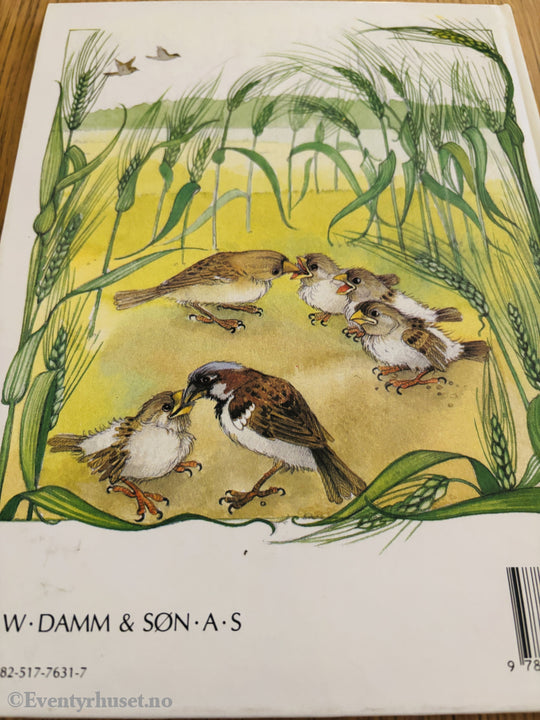 Anne Kierulf. Du kan fly Veslespurv