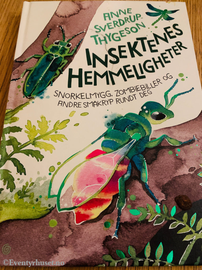 Anne Sverdrup-Thygeson: Insektenes hemmeligheter