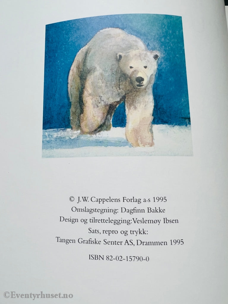 Arvid Hanssen & Dagfinn Bakke. 1995. Gullunger Kullunger. En Fortelling Fra Svalbard. Fortelling