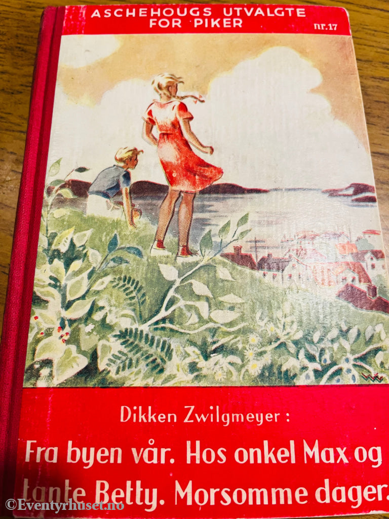 Aschehoug Utvalgte For Piker. Nr. 17. Dikken Zwilgmeyer. Fra Byen Vår Mfl... Fortelling