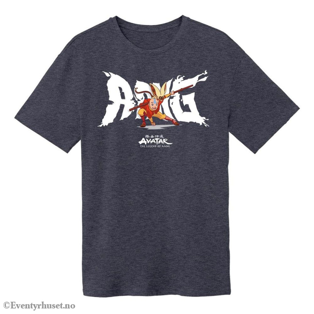 Avatar: The Last Airbender T-Shirt Aang Pose AANG Size XL Manga & Anime