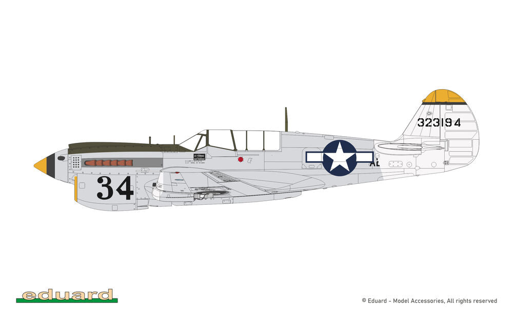P-40N Warhawk
