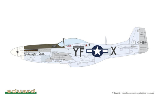MIGHTY EIGHT: 65th Fighter Wing