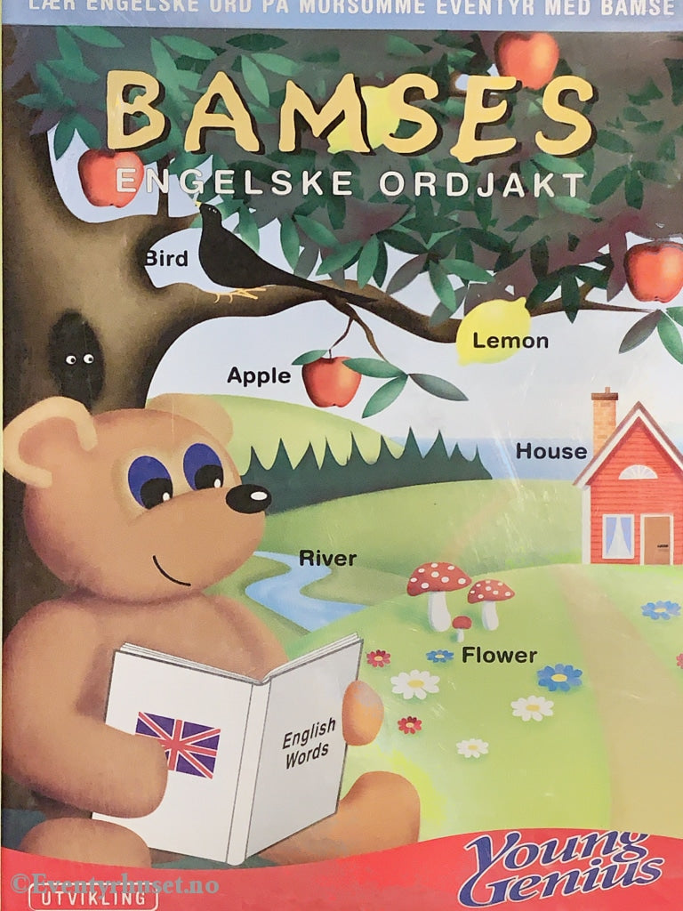 Bamses Engelske Ordjakt. Pc Spill. Spill