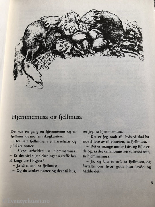 Barndomslandet. 1978. Jeg Red Meg Ut. Fortelling