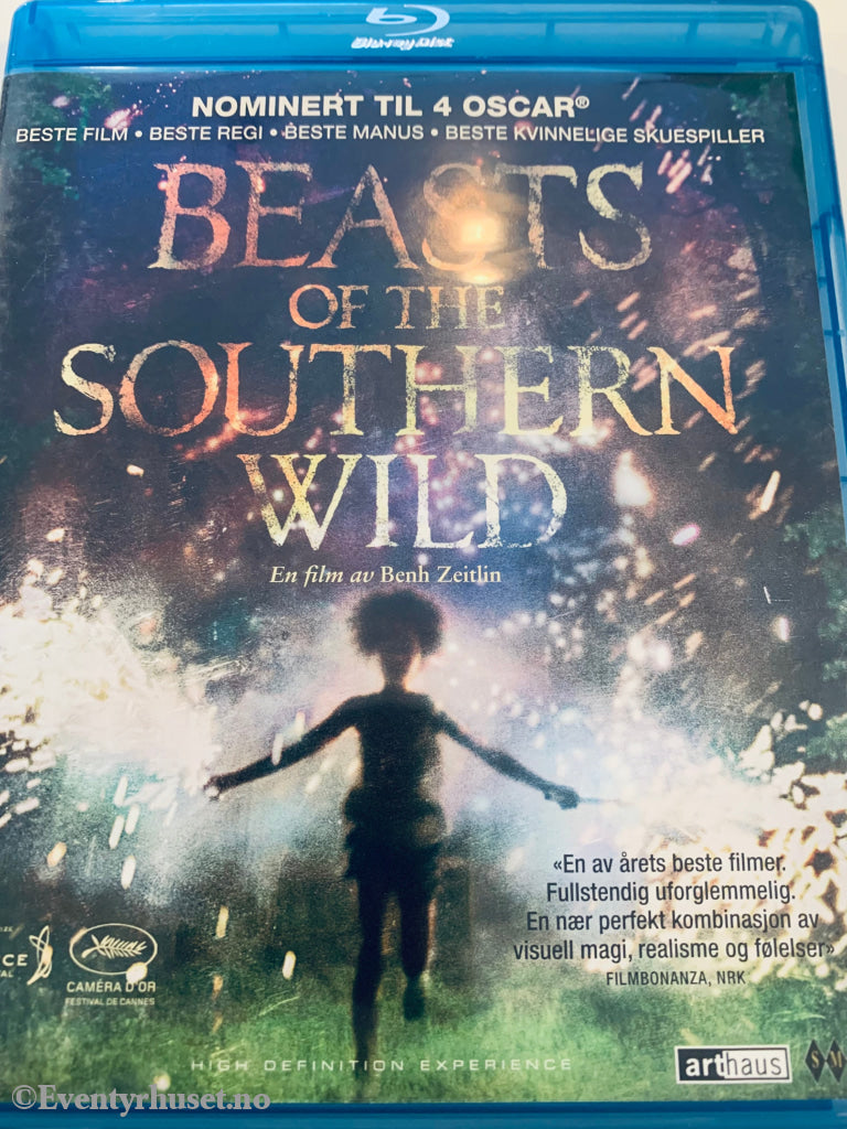 Beasts Of The Southern Wild. Blu-Ray. Blu-Ray Disc