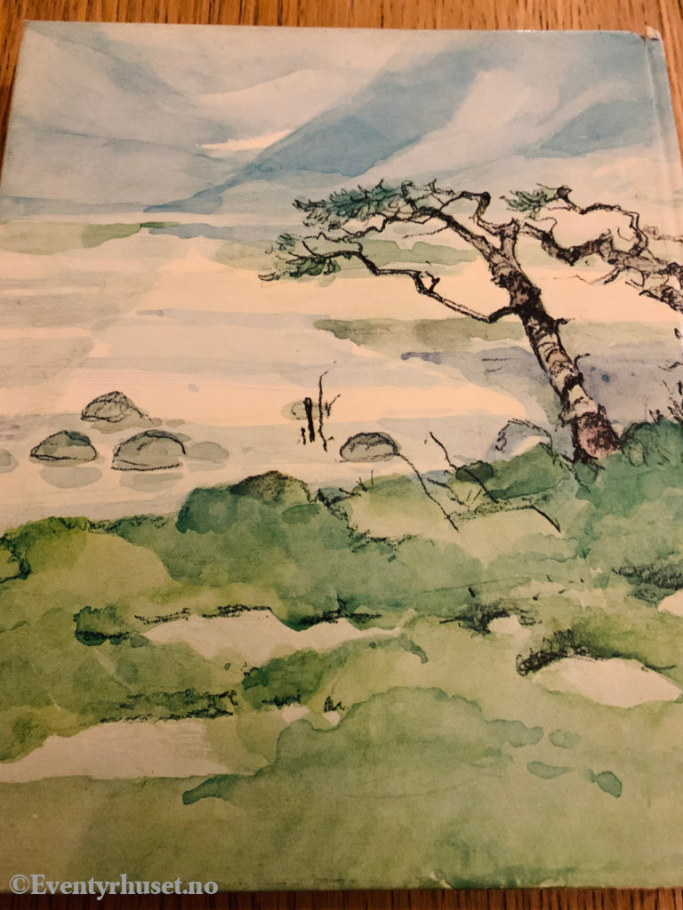 Berit Brænne. 1964. Tørris – Gutten fra Storlidalen. Bok.