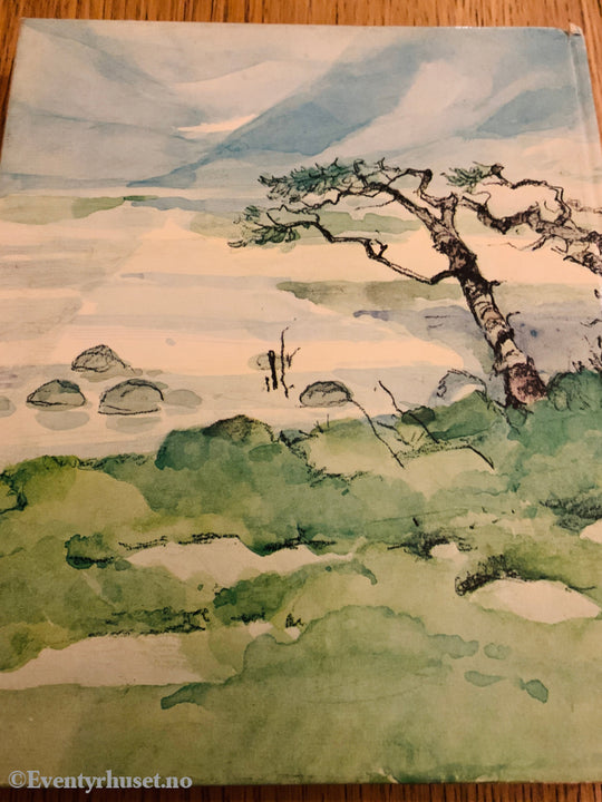 Berit Brænne. 1964. Tørris – Gutten fra Storlidalen. Bok.