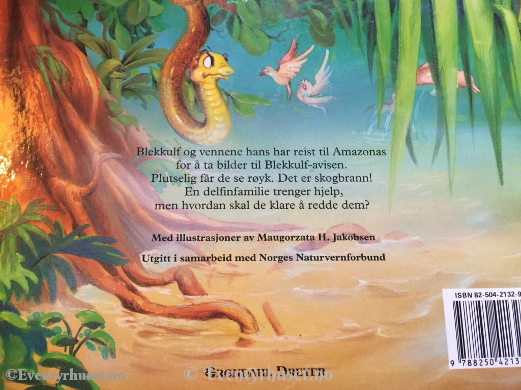 Blekkulf. 1994. Delfinetta Og Den Store Bølgen. Fortelling
