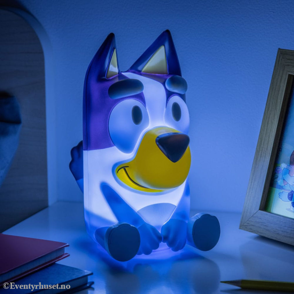 Bluey Light with Sound Home & Gifts