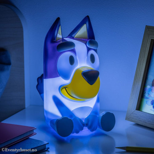 Bluey Light with Sound Home & Gifts
