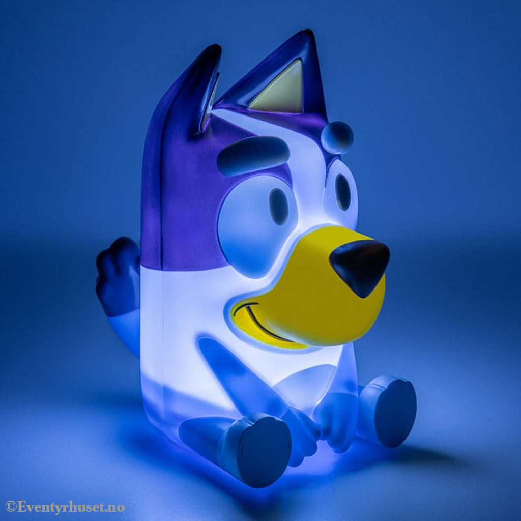Bluey Light with Sound Home & Gifts