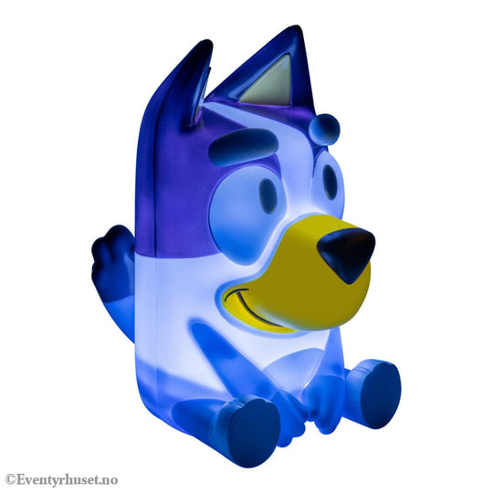 Bluey Light with Sound Home & Gifts