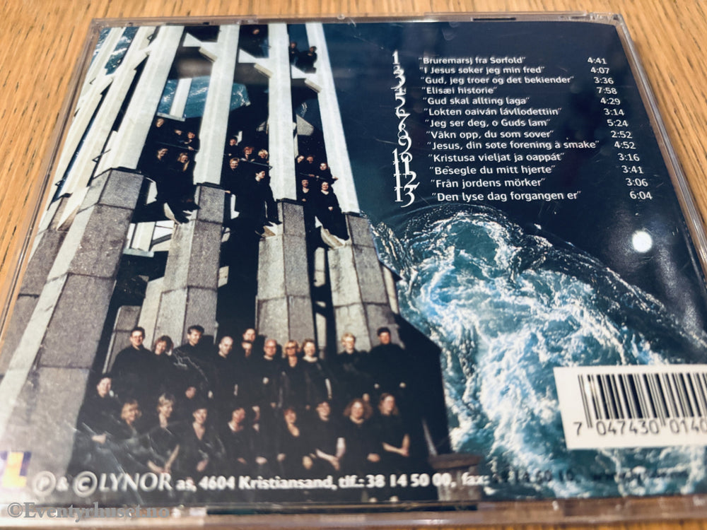Bodø Domkor – Kildespring: Nordnorske folketoner (2000). CD.