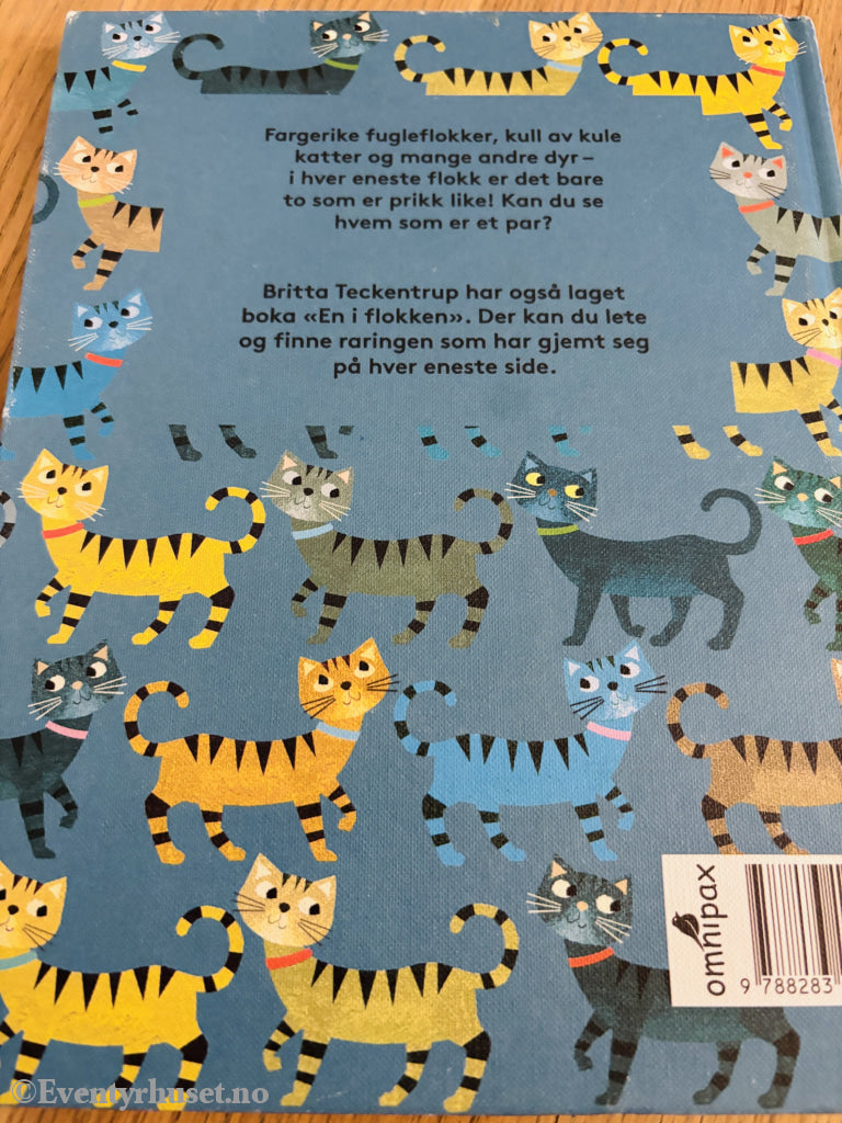 Britta Teckentrup: To kule katter og andre par. Bok.