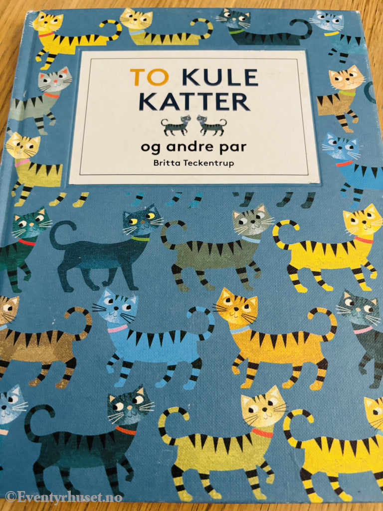 Britta Teckentrup: To kule katter og andre par. Bok.