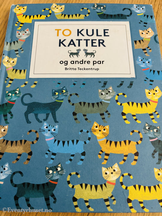 Britta Teckentrup: To kule katter og andre par. Bok.
