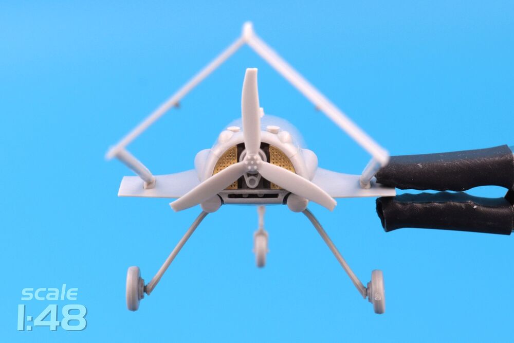An-196 Liutyi deep-strike UAV (1/48)