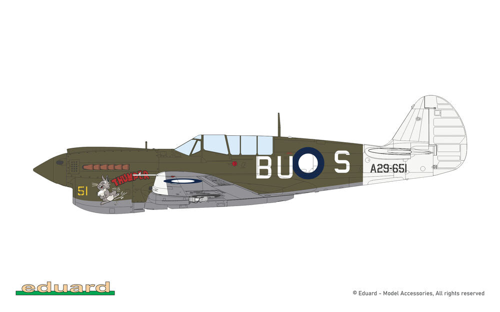 P-40N Warhawk