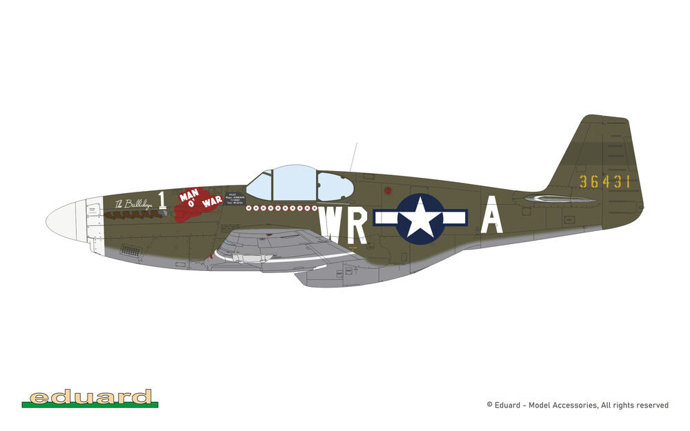 P-51B MALCOLM HOOD