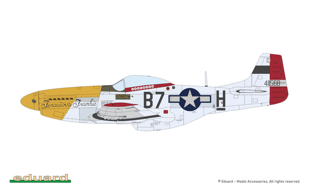 MIGHTY EIGHT: 65th Fighter Wing