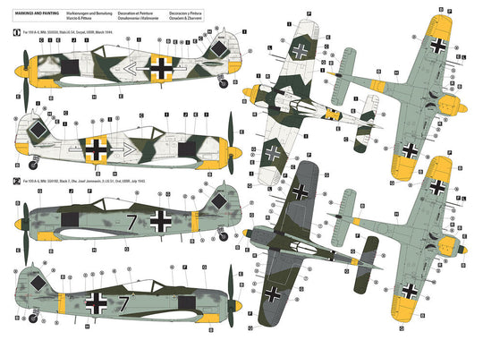 Focke-Wulf Fw 190 A-6 Eastern Front