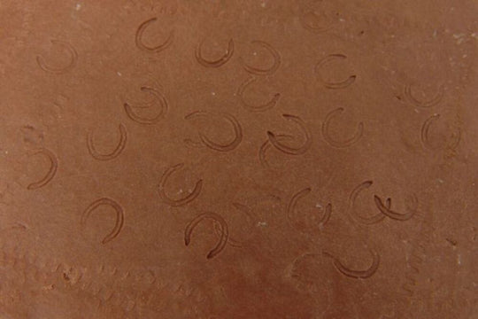 HORSESHOES