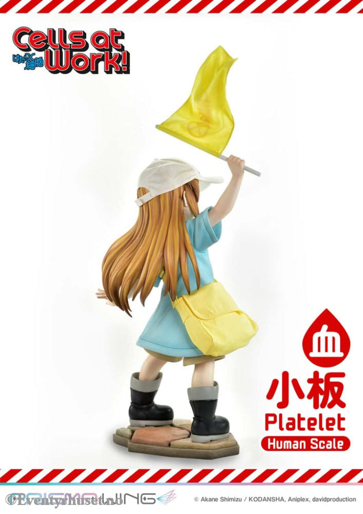 Cells at Work! Life Scale Masterline Series Statue Platelet 100 cm Collectibles