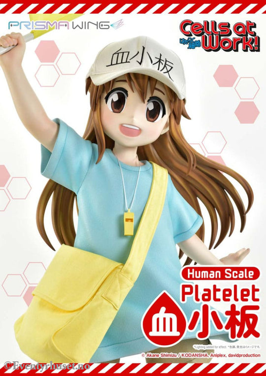 Cells at Work! Life Scale Masterline Series Statue Platelet 100 cm Collectibles