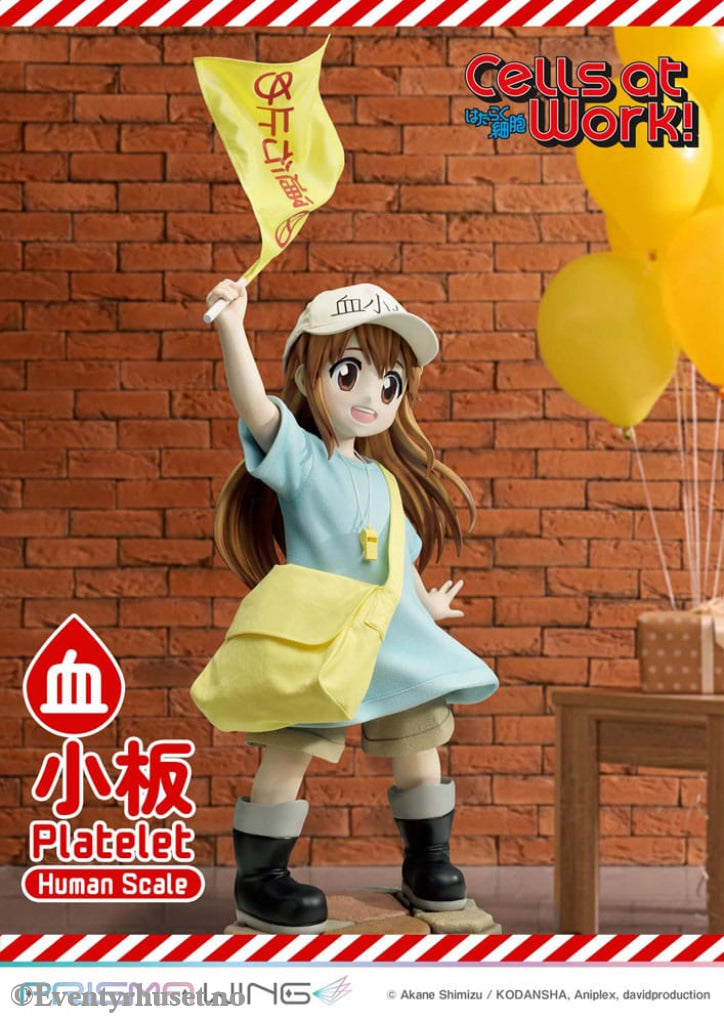 Cells at Work! Life Scale Masterline Series Statue Platelet 100 cm Collectibles