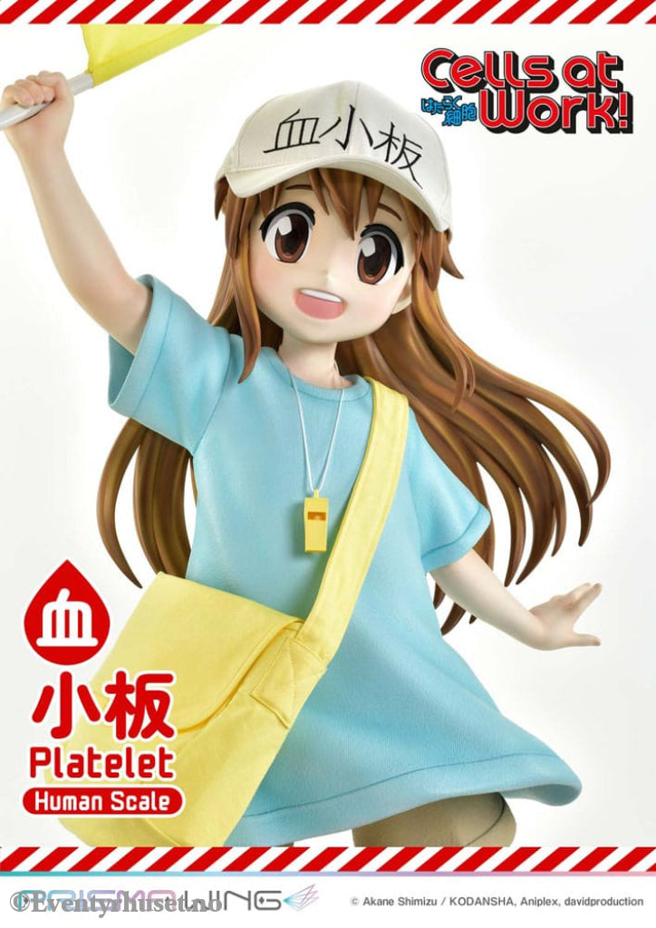 Cells at Work! Life Scale Masterline Series Statue Platelet 100 cm Collectibles