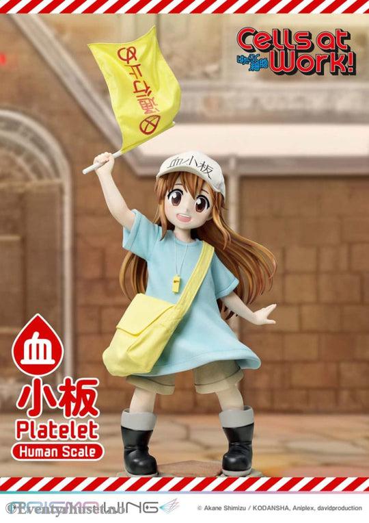Cells at Work! Life Scale Masterline Series Statue Platelet 100 cm Collectibles
