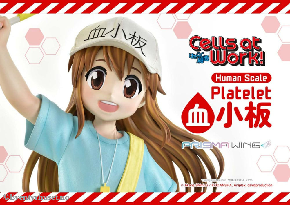 Cells at Work! Life Scale Masterline Series Statue Platelet 100 cm Collectibles