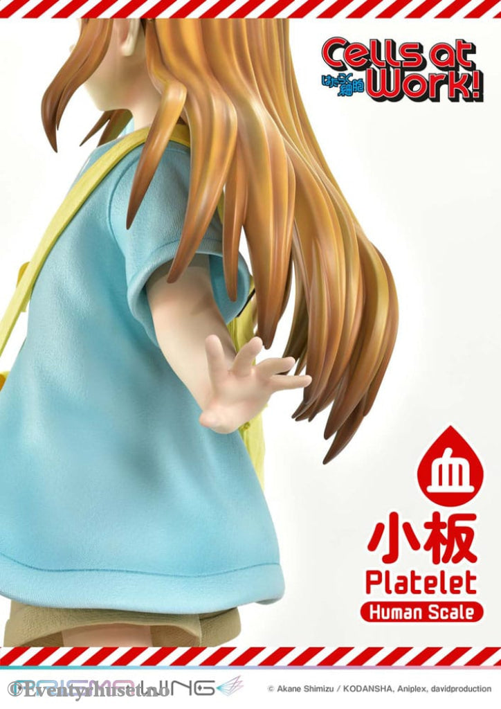 Cells at Work! Life Scale Masterline Series Statue Platelet 100 cm Collectibles