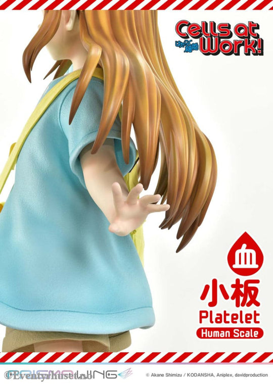 Cells at Work! Life Scale Masterline Series Statue Platelet 100 cm Collectibles