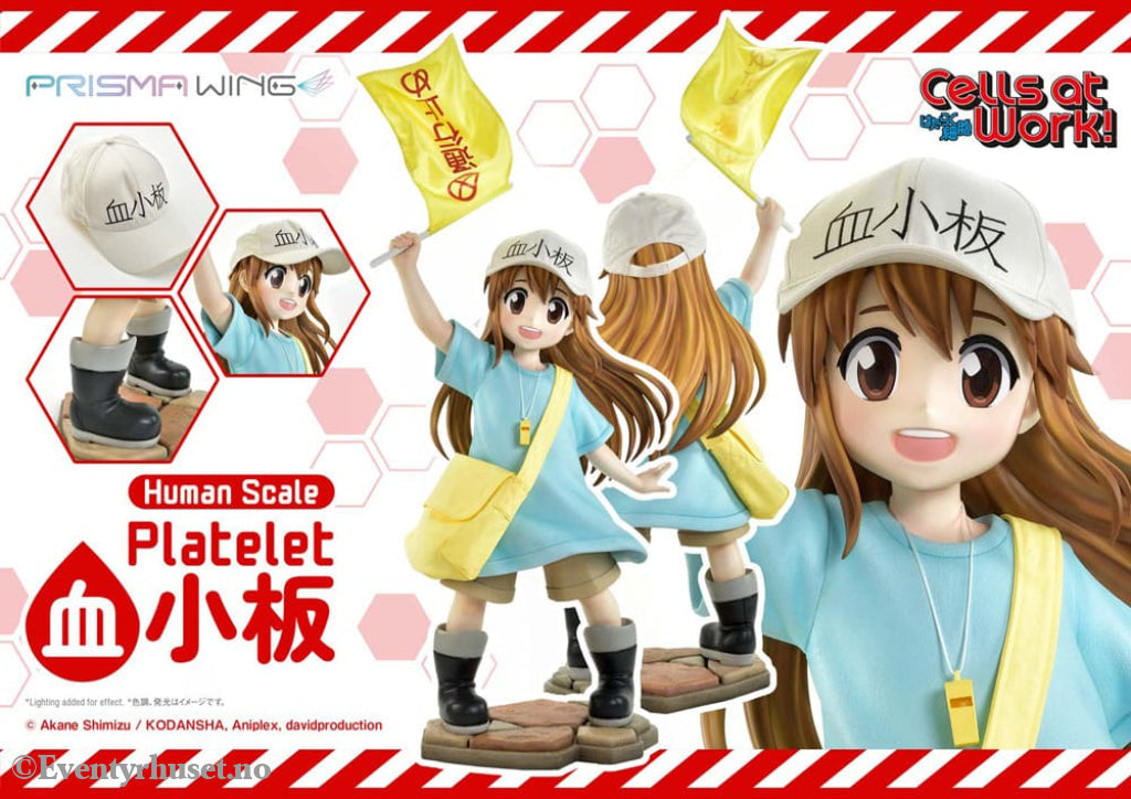 Cells at Work! Life Scale Masterline Series Statue Platelet 100 cm Collectibles