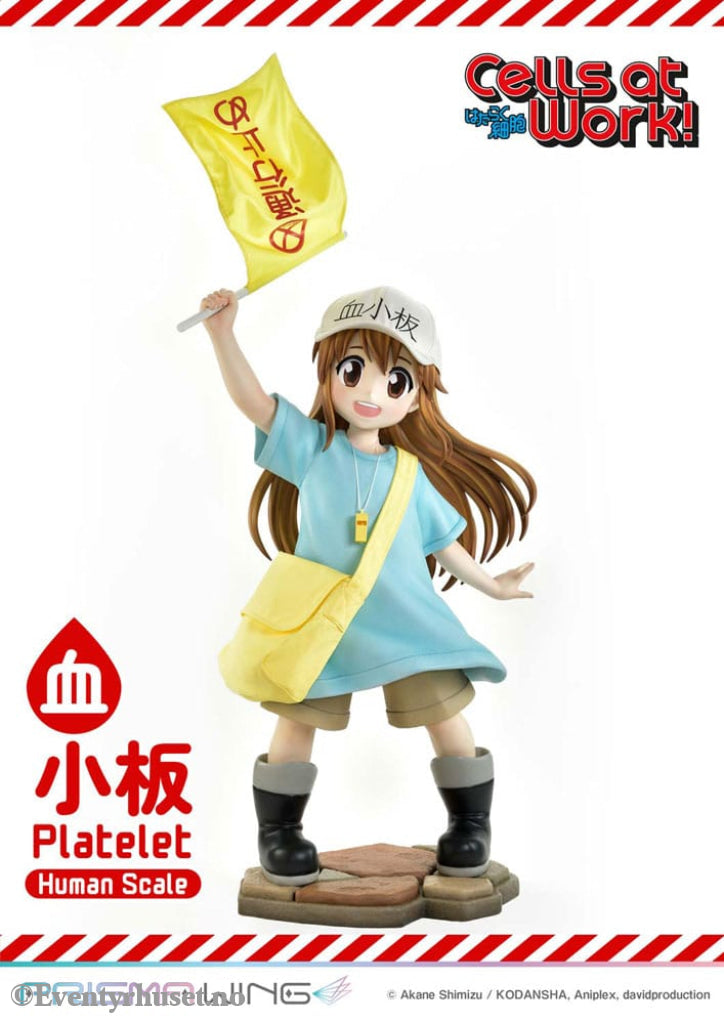 Cells at Work! Life Scale Masterline Series Statue Platelet 100 cm Collectibles