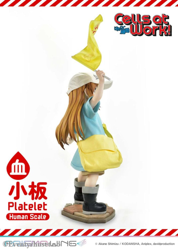 Cells at Work! Life Scale Masterline Series Statue Platelet 100 cm Collectibles