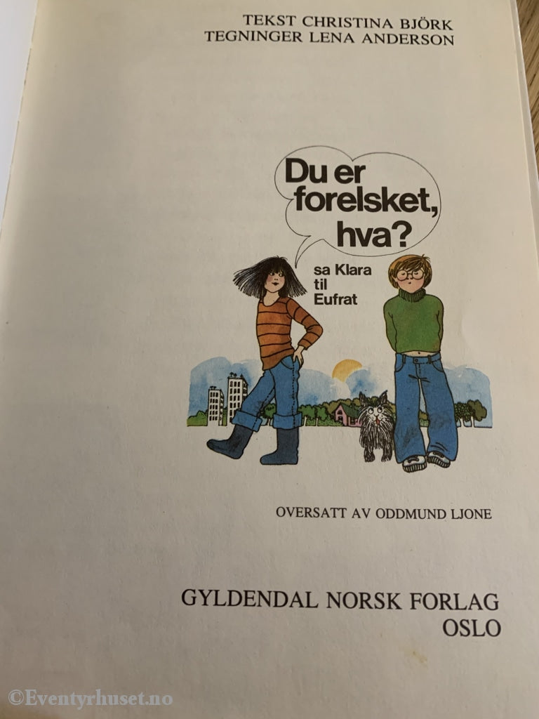 Christina Björk & Lena Anderson. 1976. Du Er Forelsket Hva Fortelling