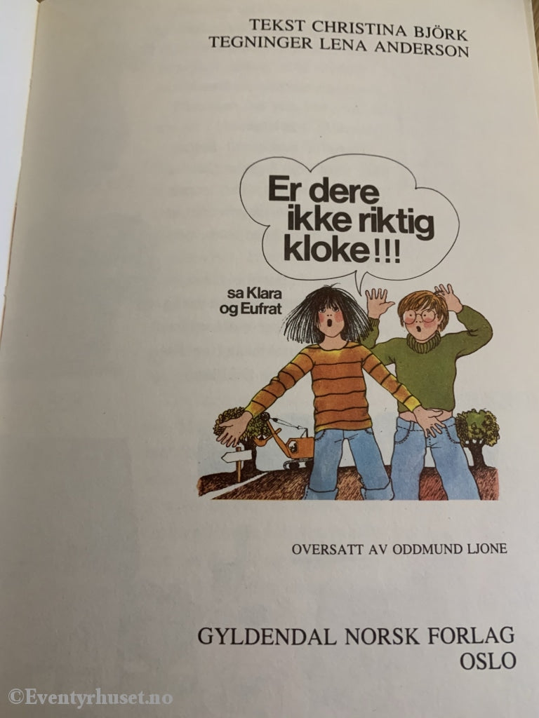 Christina Björk & Lena Anderson. 1976. Er Dere Ikke Riktig Kloke!!! Fortelling