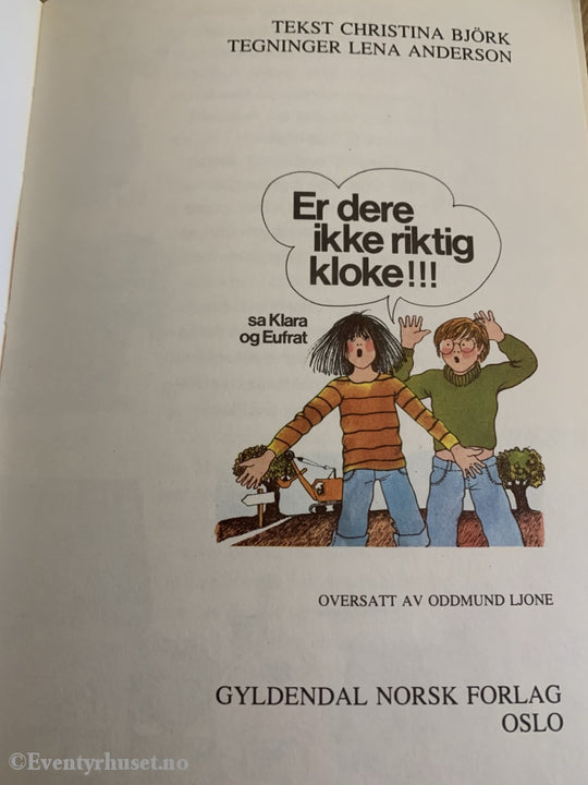 Christina Björk & Lena Anderson. 1976. Er Dere Ikke Riktig Kloke!!! Fortelling