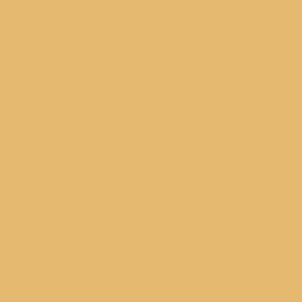 Model Color: 146 - Sand Yellow 18 ml