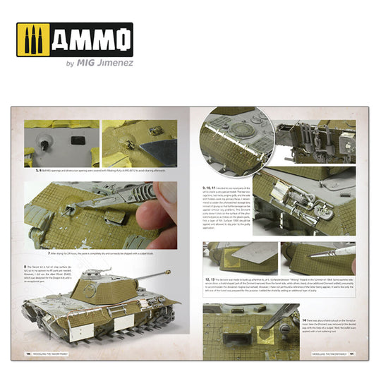 Panthers - Modeling the TAKOM Family (English)