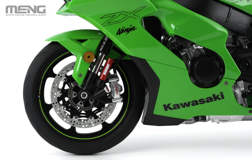 Kawasaki ZX-10RR (Pre-colored Edition)