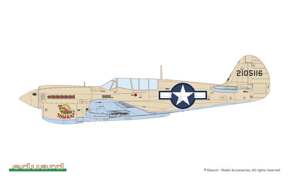 P-40N Warhawk