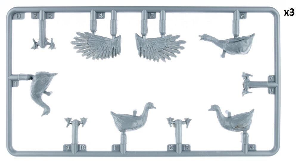 Ducks & Geese